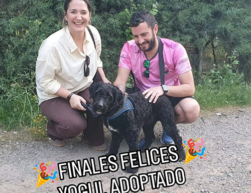 YOGUI, con su nueva familia