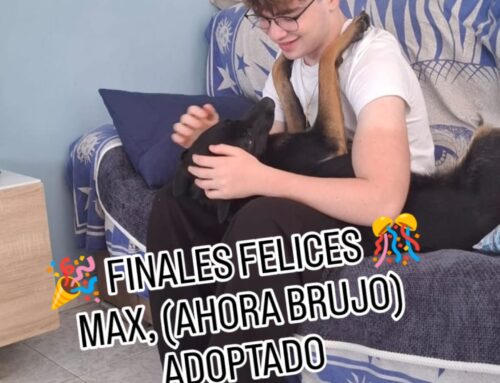 MAX, disfrutando de su nueva vida