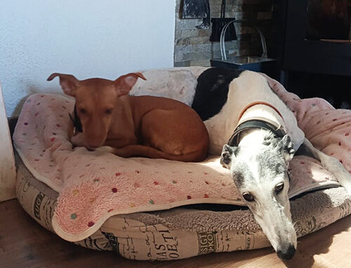 Mami, por fin en familia