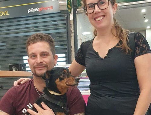 ROCO, disfrutando de su nueva vida.