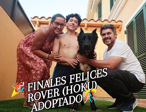 ROVER, felizmente adoptado