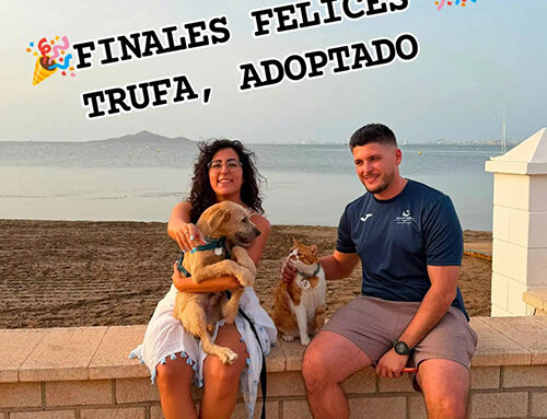 TRUFA, feliz con su nueva familia